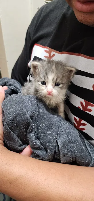 Duarte Azusa Animal Hospital Picture 6