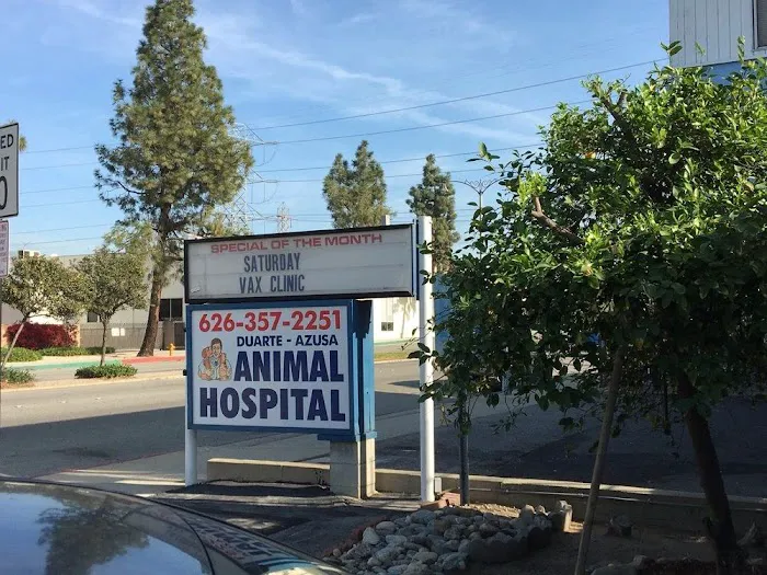 Duarte Azusa Animal Hospital Picture 5