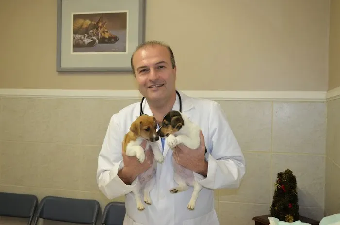 Duarte Azusa Animal Hospital Picture 10