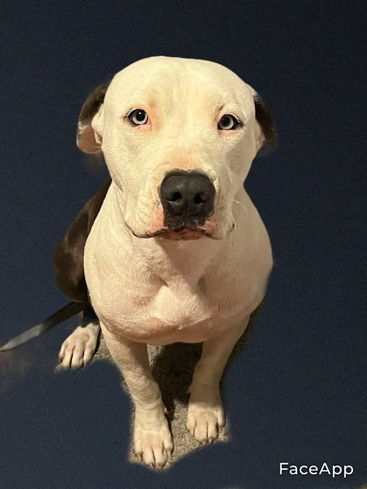 Duarte Azusa Animal Hospital Picture 7
