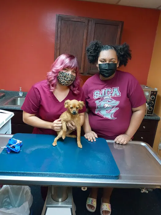 Vine Animal Clinic Picture 1