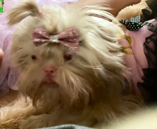 Vine Animal Clinic Picture 5