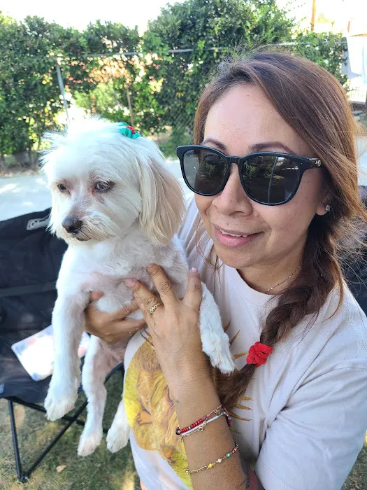 Vine Animal Clinic Picture 9