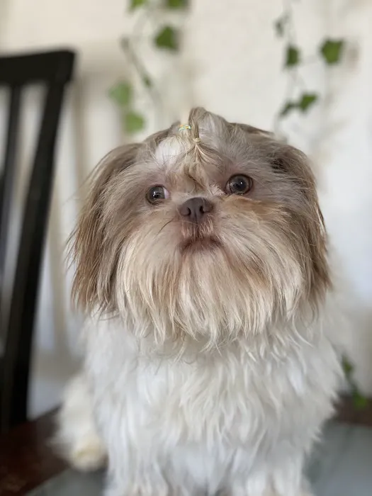 Vine Animal Clinic Picture 10