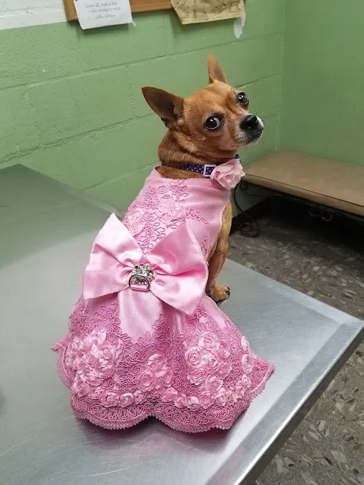 LA Quality Pet Care Animal Clinic Picture 5