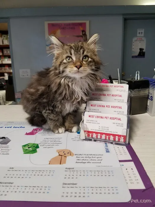 West Covina Pet Hospital Picture 5