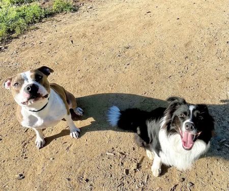 Leave No Paws Behind Veterinary Clinic