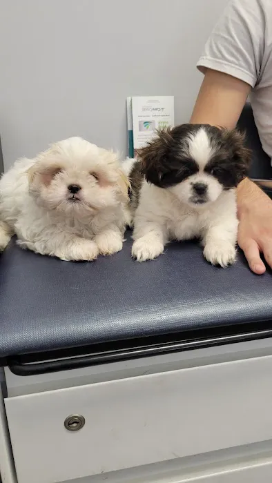 Leave No Paws Behind Veterinary Clinic Picture 6