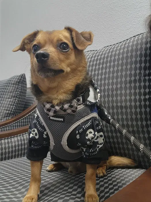 Leave No Paws Behind Veterinary Clinic Picture 4
