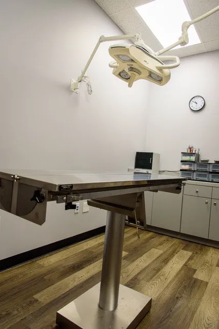 Leave No Paws Behind Veterinary Clinic Picture 10