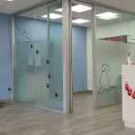 South Hills Animal Hospital