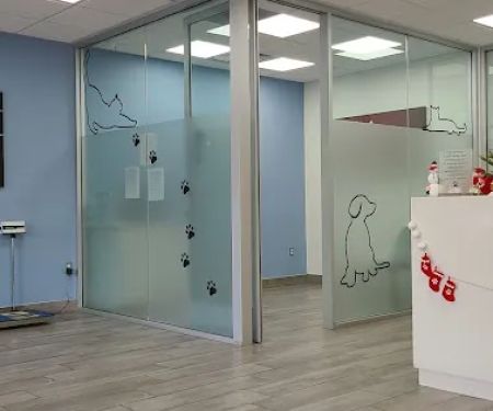 South Hills Animal Hospital