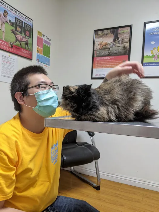 South Hills Animal Hospital Picture 6