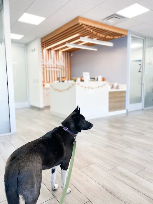 South Hills Animal Hospital Picture 4