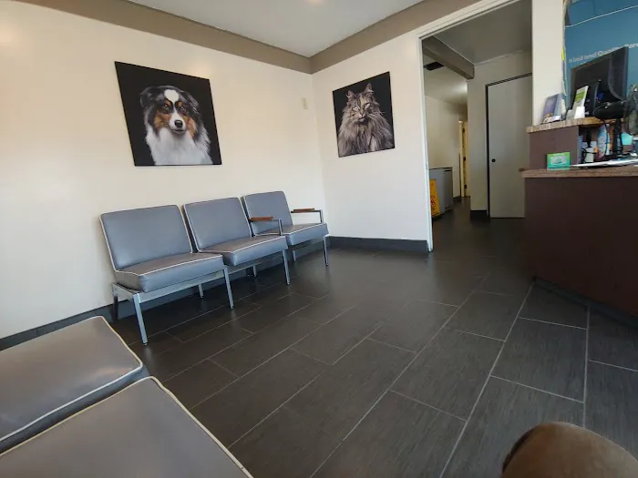Covina Pet Care Picture 9