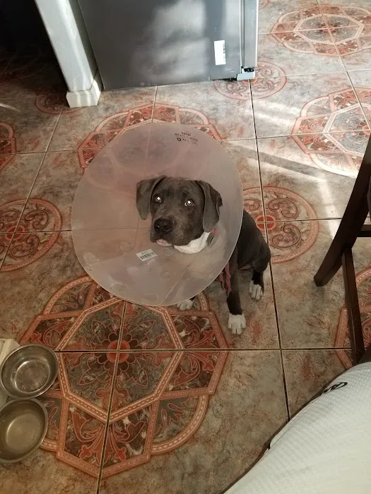 Banfield Pet Hospital Picture 3
