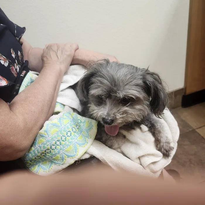Banfield Pet Hospital Picture 8
