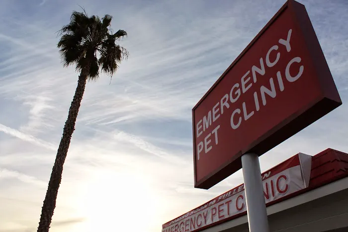 Orange County Emergency Pet Clinic Picture 6