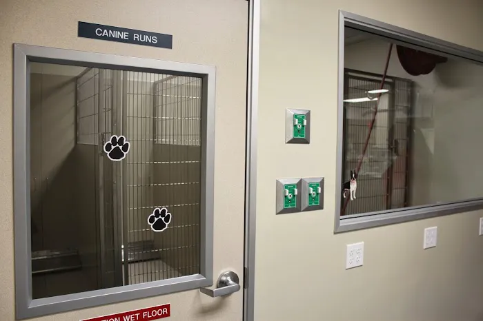 Orange County Emergency Pet Clinic Picture 8