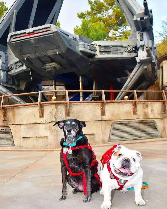 Fullerton Regional Veterinary Hospital Picture 6