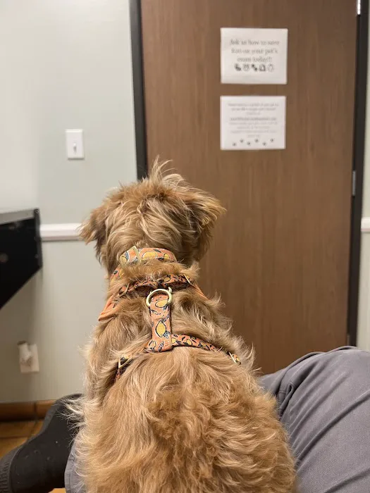 Fullerton Regional Veterinary Hospital Picture 10