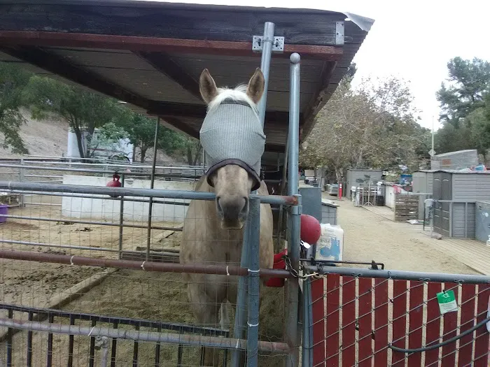 Sunnycrest Animal Care Center Picture 2