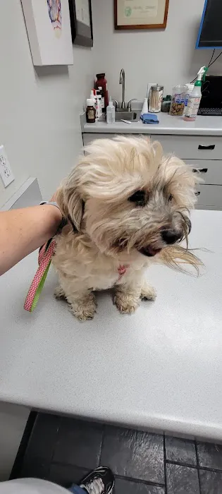 Sunnycrest Animal Care Center Picture 1