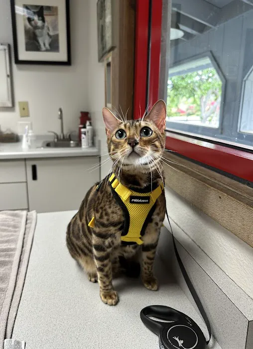 Sunnycrest Animal Care Center Picture 3
