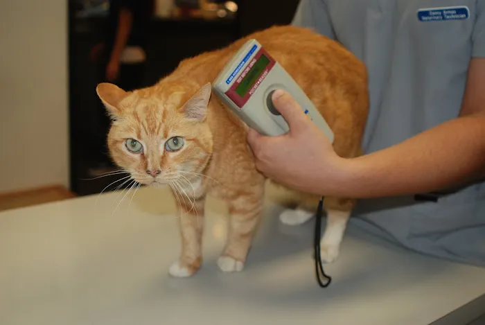 Sunnycrest Animal Care Center Picture 5