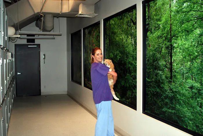 Sunnycrest Animal Care Center Picture 7