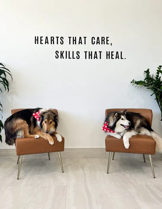 Oasis Pet Clinic Picture 7