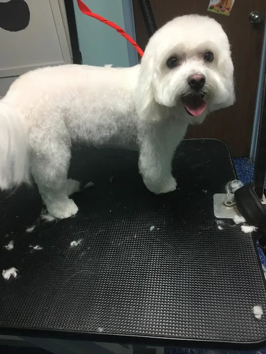 Noah's Ark Animal Hospital Picture 3