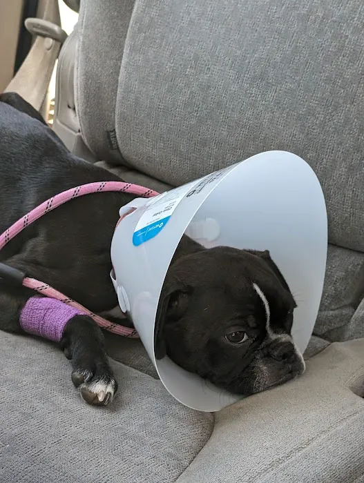 Noah's Ark Animal Hospital Picture 6