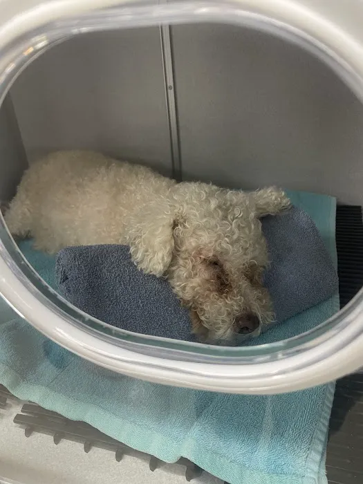 Aloha Veterinary Hospital Picture 6