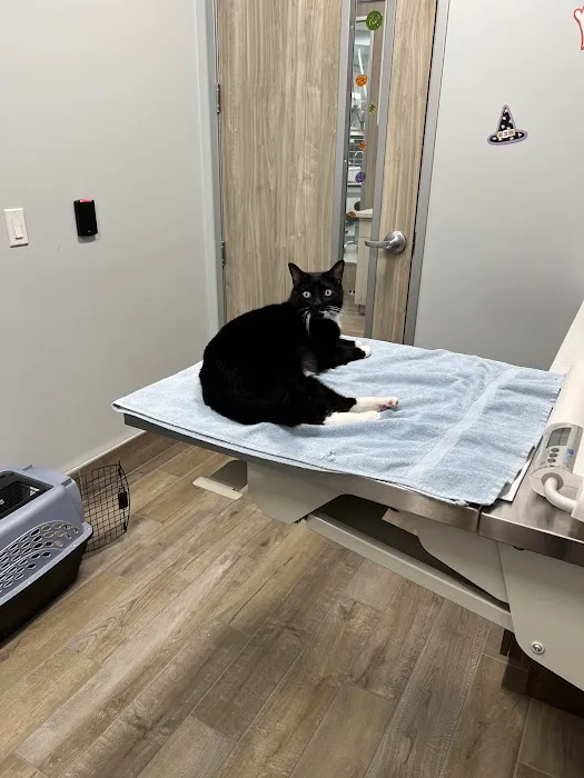 Aloha Veterinary Hospital Picture 5