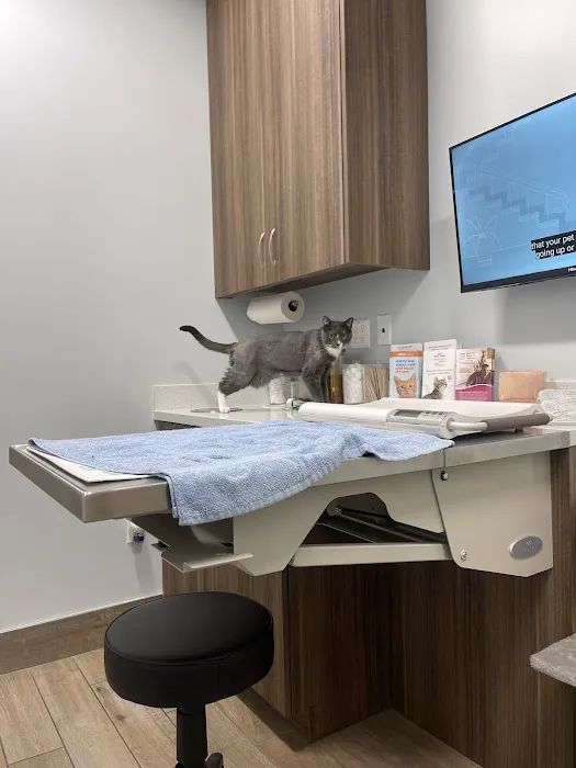 Aloha Veterinary Hospital Picture 9