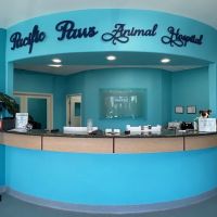 Pacific Paws Animal Hospital ico