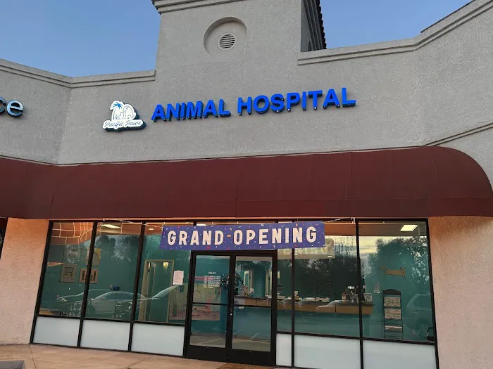 Pacific Paws Animal Hospital Picture 4