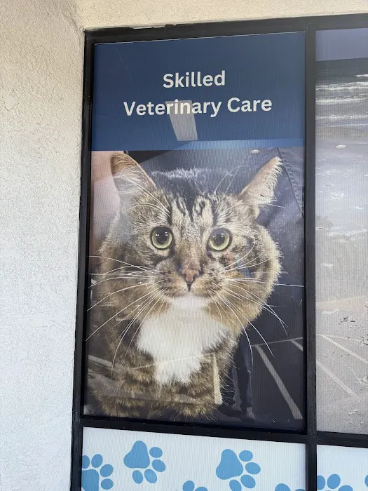 Pacific Paws Animal Hospital Picture 5