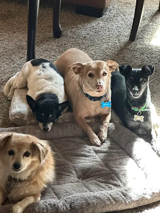 Pacific Paws Animal Hospital Picture 9