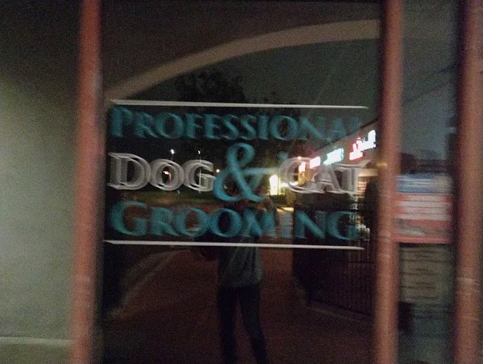 Founders Veterinary Clinic Picture 8