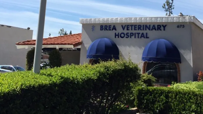 Brea Veterinary Hospital Picture 10