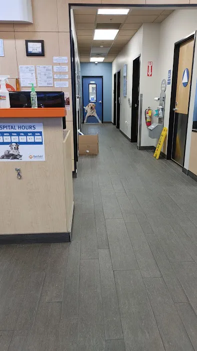 Banfield Pet Hospital Picture 1