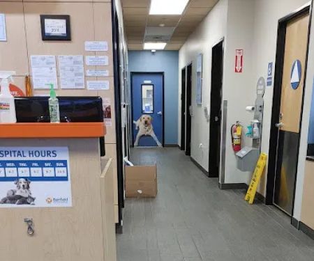 Banfield Pet Hospital