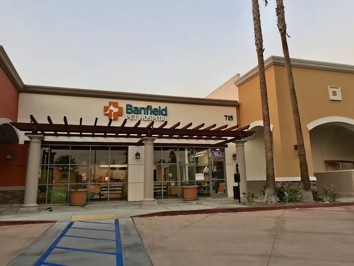 Banfield Pet Hospital Picture 4