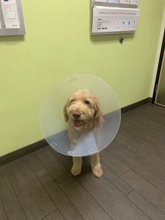 Banfield Pet Hospital Picture 6