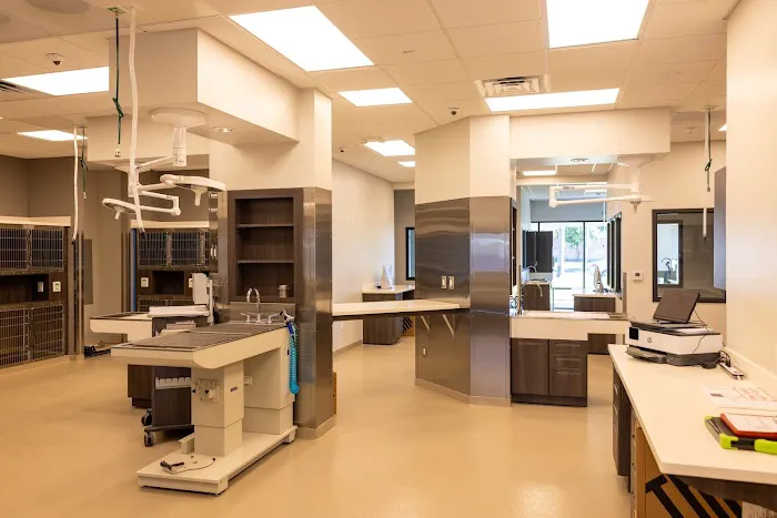 Brea Regional Animal Hospital Picture 8