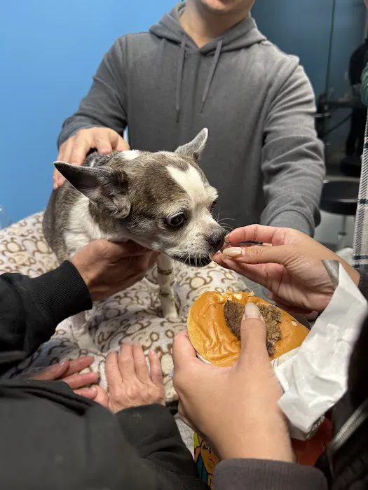 Placentia Veterinary Clinic Picture 2