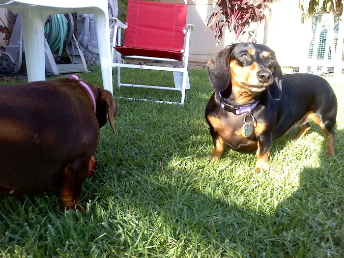 Placentia Veterinary Clinic Picture 4
