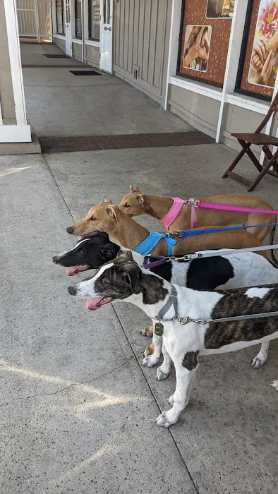 Circle of Friends Veterinary Picture 7
